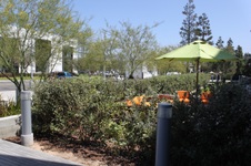 Enlarge photo 8