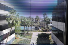 Enlarge photo 74