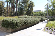 Enlarge photo 51