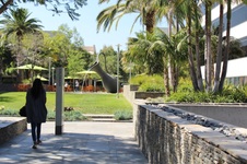 Enlarge photo 43