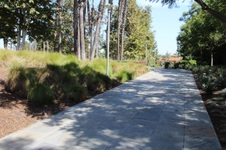 Enlarge photo 45