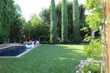 Enlarge photo 166