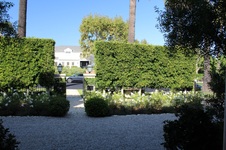 Enlarge photo 175