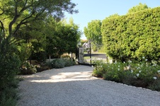 Enlarge photo 7
