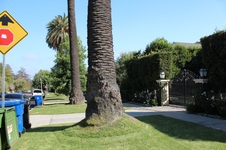 Enlarge photo 176