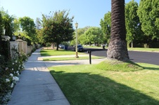 Enlarge photo 174