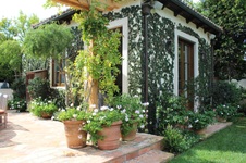 Enlarge photo 116