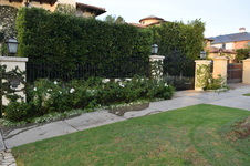 Enlarge photo 7