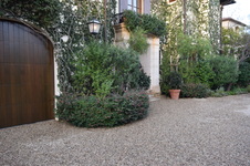 Enlarge photo 21