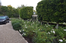 Enlarge photo 23