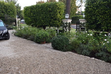 Enlarge photo 24