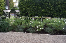 Enlarge photo 25