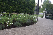 Enlarge photo 26