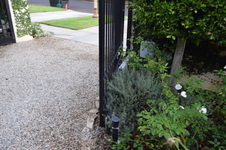 Enlarge photo 30