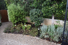 Enlarge photo 33