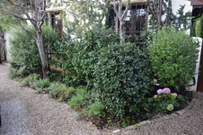Enlarge photo 35