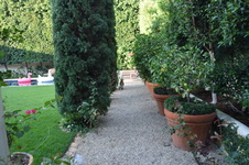 Enlarge photo 143