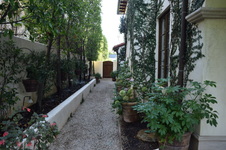 Enlarge photo 145
