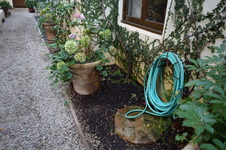 Enlarge photo 146