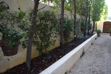 Enlarge photo 147