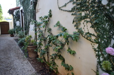 Enlarge photo 148
