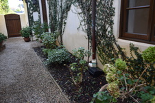 Enlarge photo 150