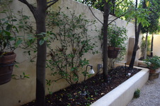 Enlarge photo 151
