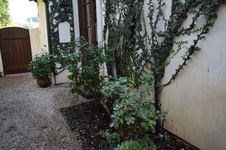 Enlarge photo 152