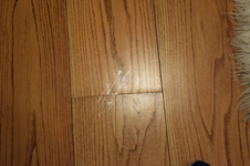 Enlarge photo 213