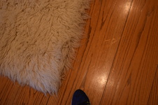 Enlarge photo 230