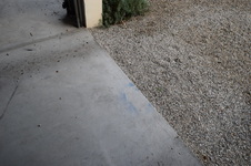 Enlarge photo 247