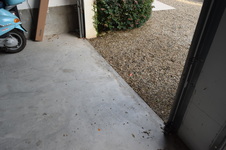 Enlarge photo 248
