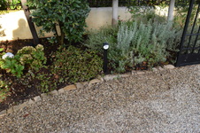 Enlarge photo 249