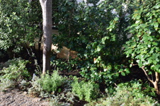 Enlarge photo 255