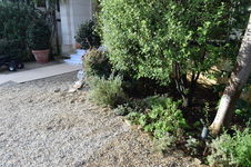 Enlarge photo 256