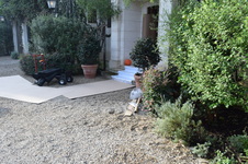 Enlarge photo 257