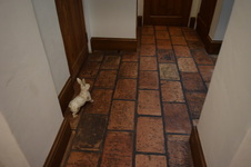 Enlarge photo 278