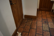 Enlarge photo 279