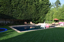 Enlarge photo 368