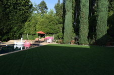 Enlarge photo 369