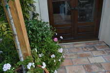 Enlarge photo 378
