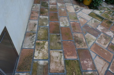 Enlarge photo 385