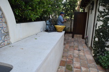 Enlarge photo 387
