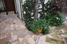 Enlarge photo 389