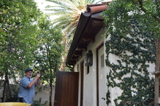 Enlarge photo 390