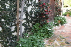 Enlarge photo 391