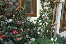 Enlarge photo 395