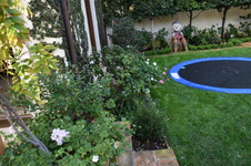 Enlarge photo 433