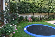 Enlarge photo 434