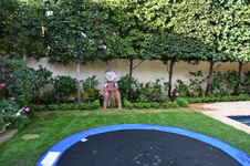 Enlarge photo 435